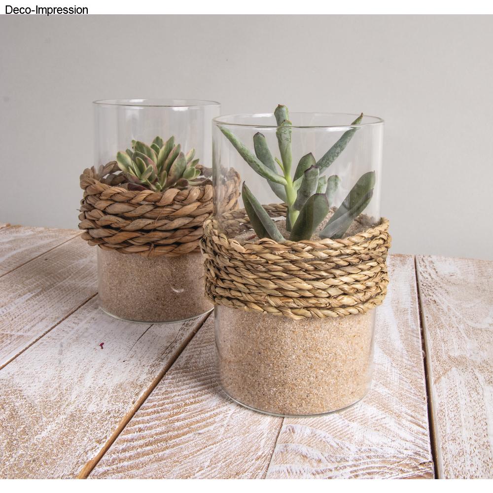 Corde d'algues torsadée