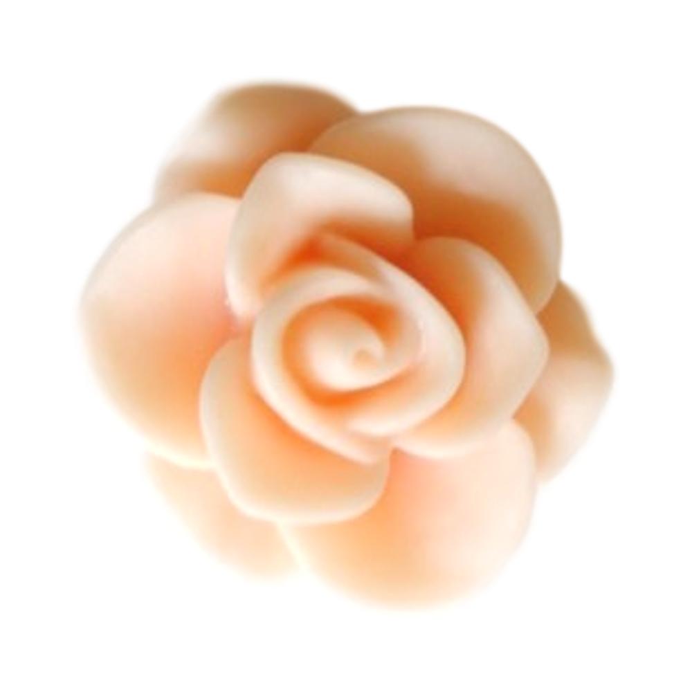 Rose 20 mm Orange pâle