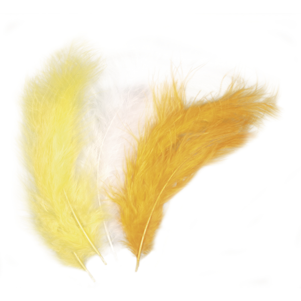 Plume Jaune