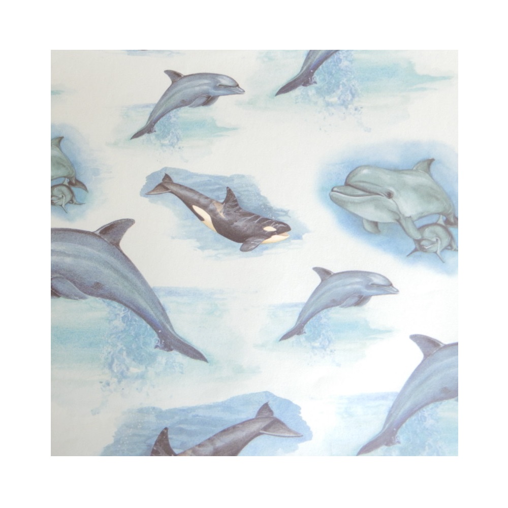 Papier B2 Dauphins