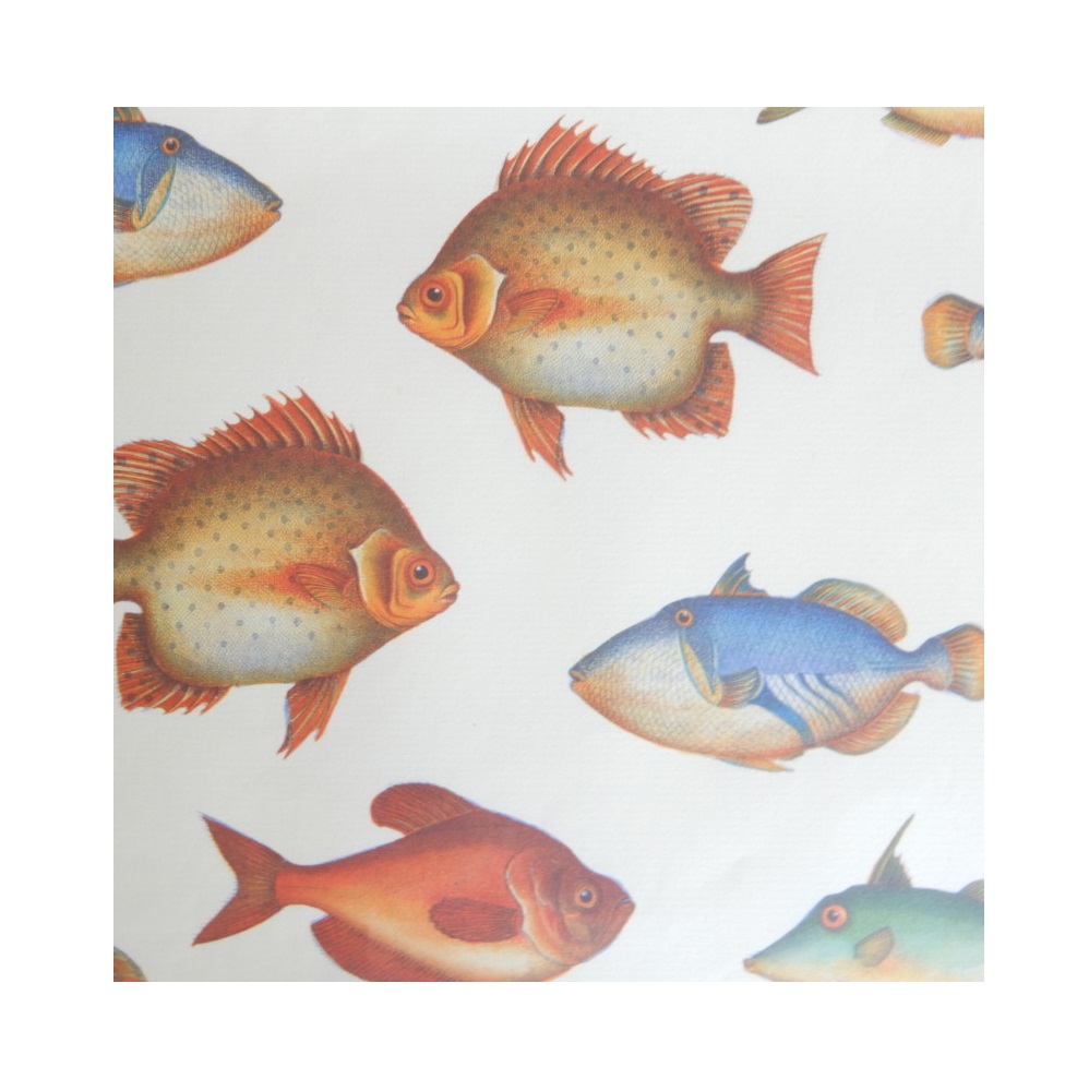 Papier B2 Poissons