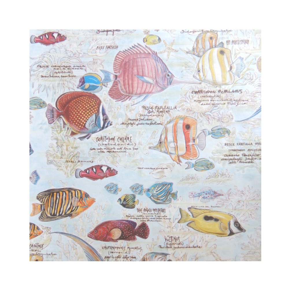 Papier B2 Poissons petits