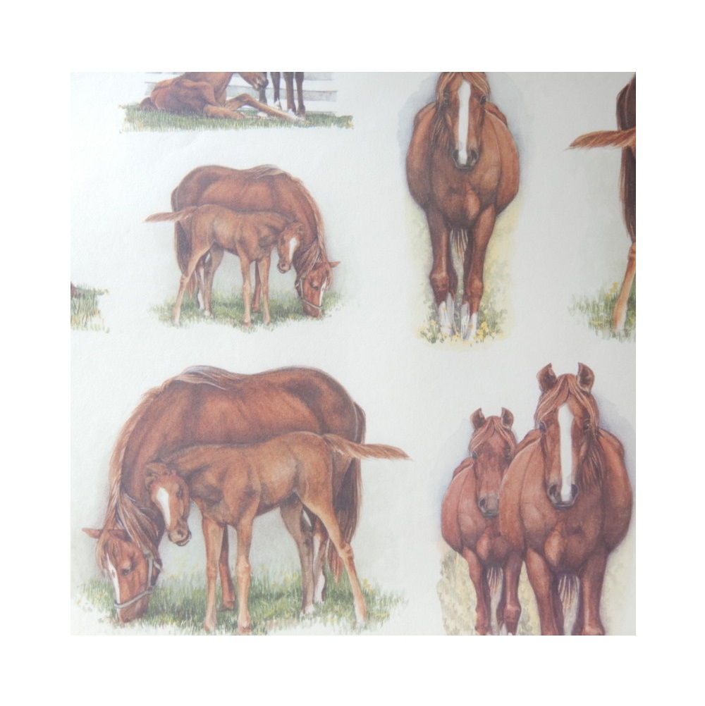 Papier B2 Chevaux