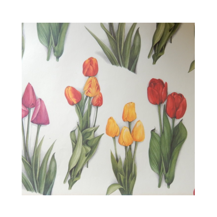 Papier B2 Tulipes