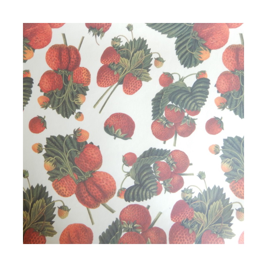 Papier B2 Fraises