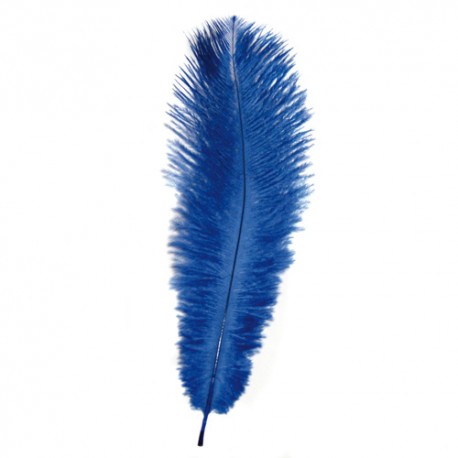 Plume d'autruche Bleu