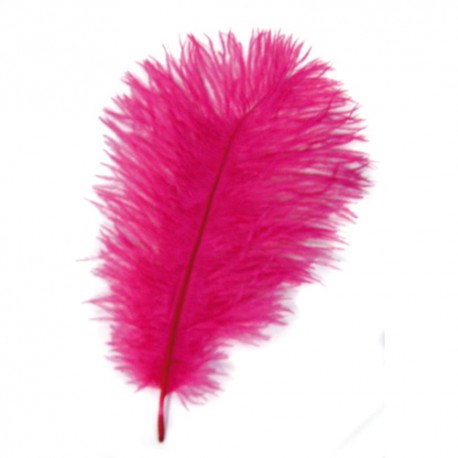 Plume d'autruche Fuchsia