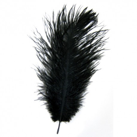 Plume d'autruche Noir