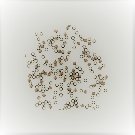 Perles à écraser 2 mm Bronze