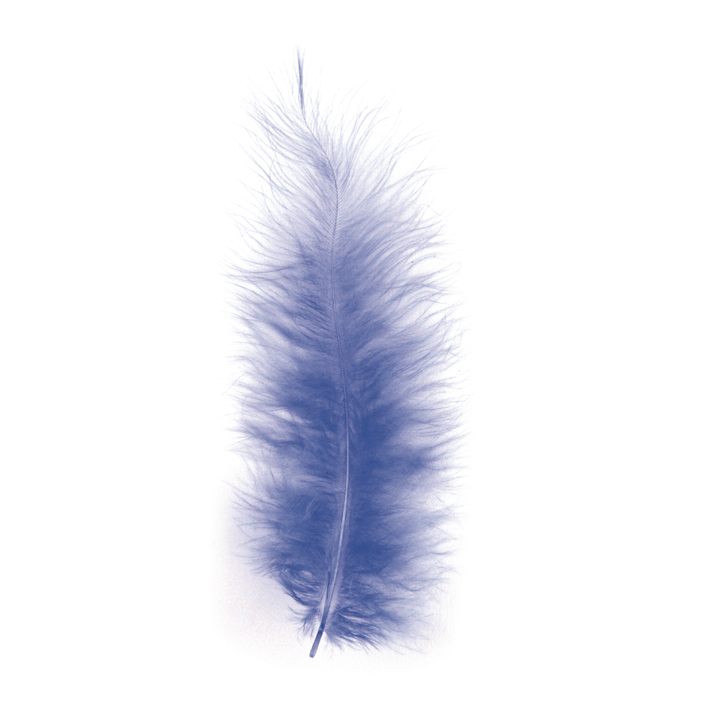 Plume Bleu