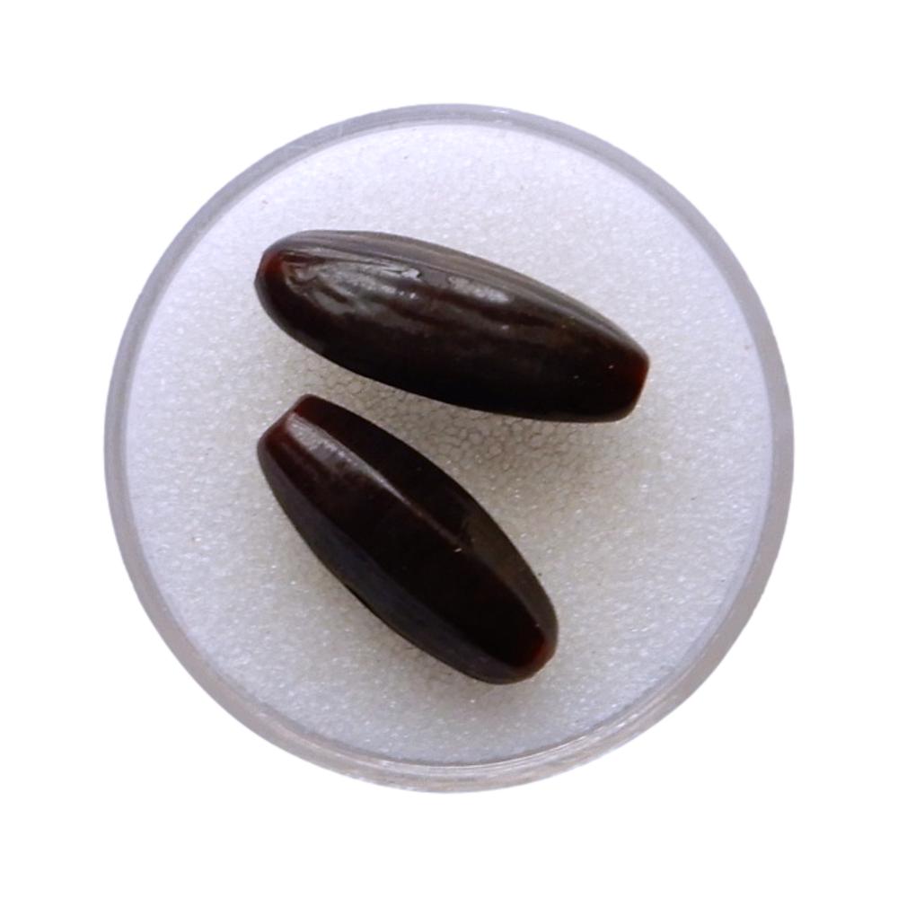 Olive 20 mm Marron