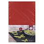 Feutre textile Rayher - Soft - 30 x 45 x 0,4 cm - Rouge - Sachet 1 pièce