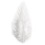 Plumes à la mode - 10-15 cm - Blanc - 2 grammes